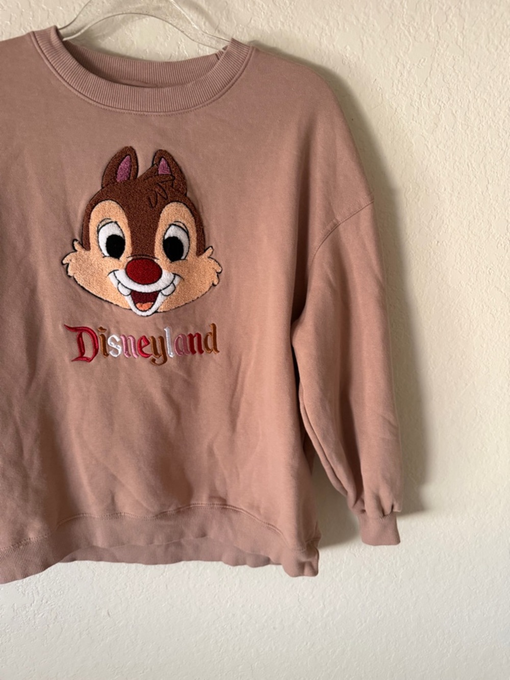 Disneyland Chip ‘n Dale Embroidered Oversized Sweatshirt size XS - Picture 3 of 12